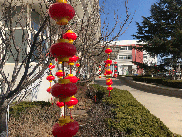 煙臺(tái)丹頓玻璃膜祝大家開(kāi)工大吉！